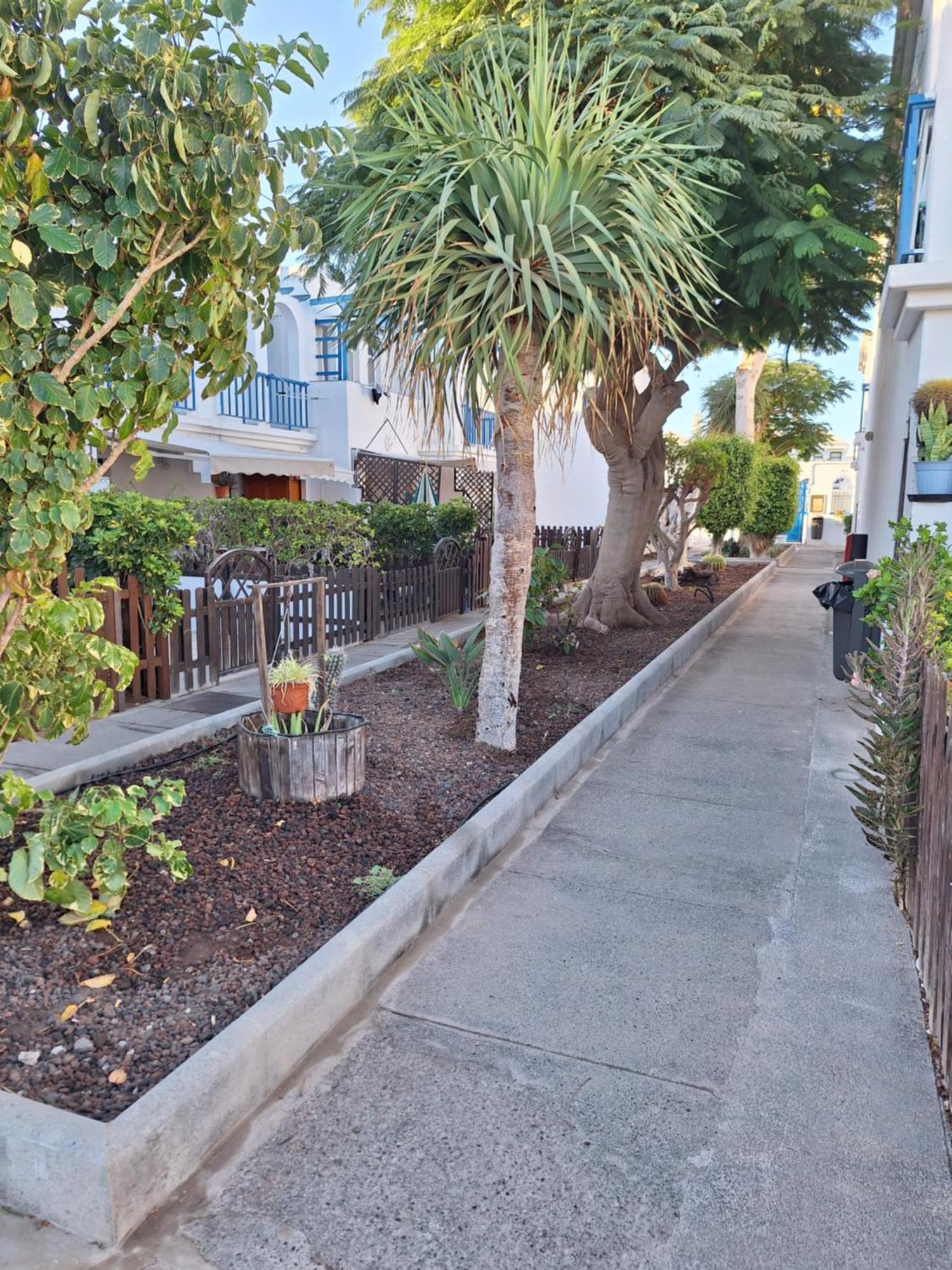 Poolfront Bungalow بلايا ديل إنغلز المظهر الخارجي الصورة